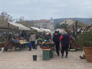 Tržnica v Luciji (3)